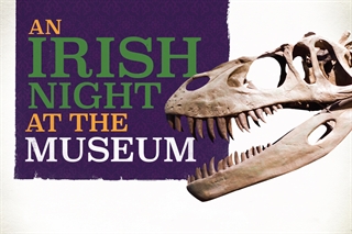 An Irish Night at the Museum