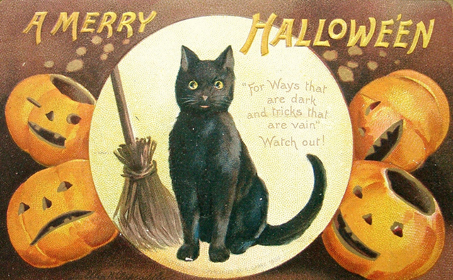 Halloween 20th Century Postcards - Cat