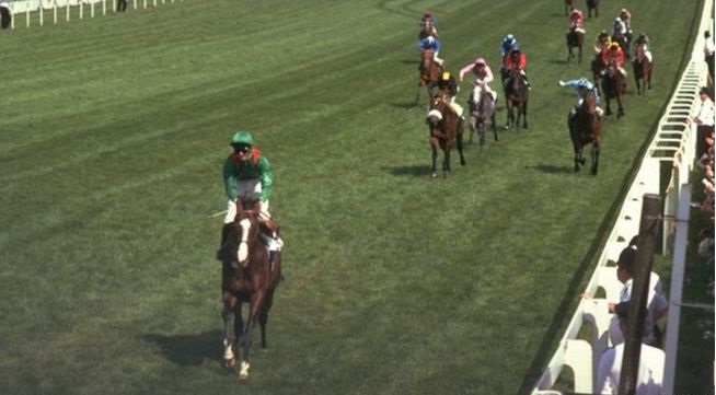 Shergar 1981 Epsom Derby Horse Racing Legends Photo Memorabilia 366 